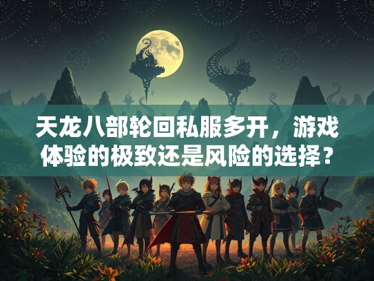天龙八部轮回私服多开，游戏体验的极致还是风险的选择？  第4张