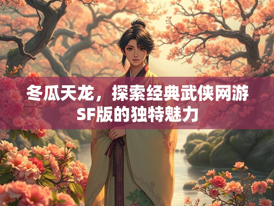 冬瓜天龙，探索经典武侠网游SF版的独特魅力  第4张
