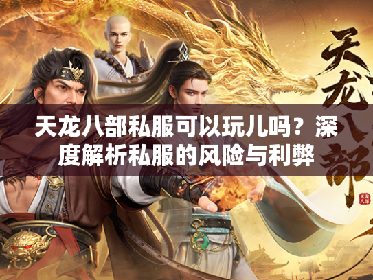 天龙八部私服可以玩儿吗？深度解析私服的风险与利弊  第3张