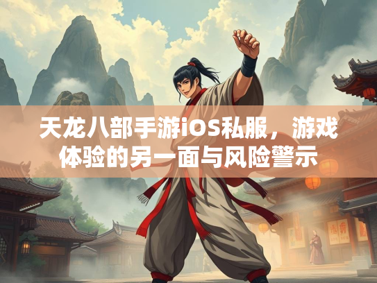 天龙八部手游iOS私服，游戏体验的另一面与风险警示  第3张
