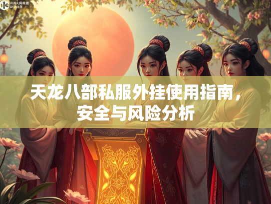 天龙八部私服外挂使用指南，安全与风险分析