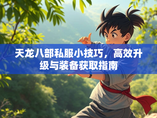 天龙八部私服小技巧，高效升级与装备获取指南