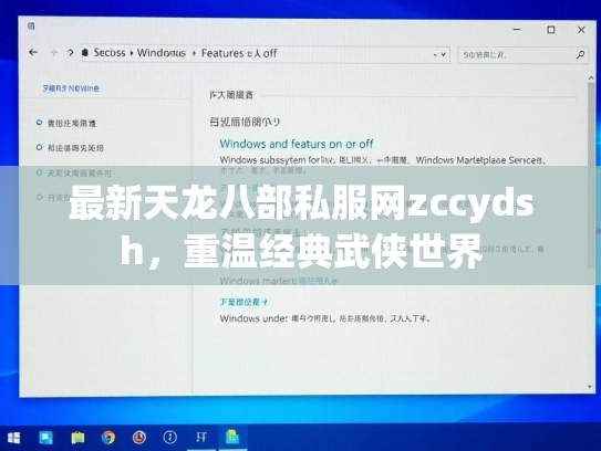 最新天龙八部私服网zccydsh，重温经典武侠世界  第3张