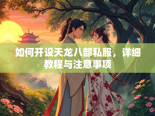 如何开设天龙八部私服，详细教程与注意事项  第4张