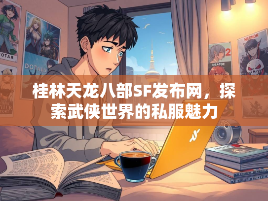 桂林天龙八部SF发布网，探索武侠世界的私服魅力  第3张