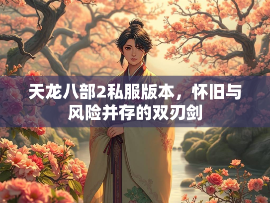 天龙八部2私服版本，怀旧与风险并存的双刃剑