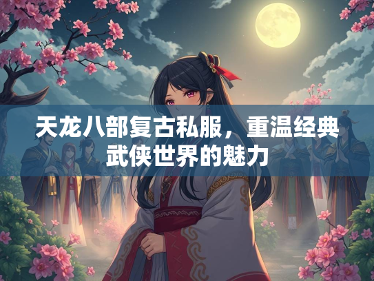 天龙八部复古私服，重温经典武侠世界的魅力  第2张