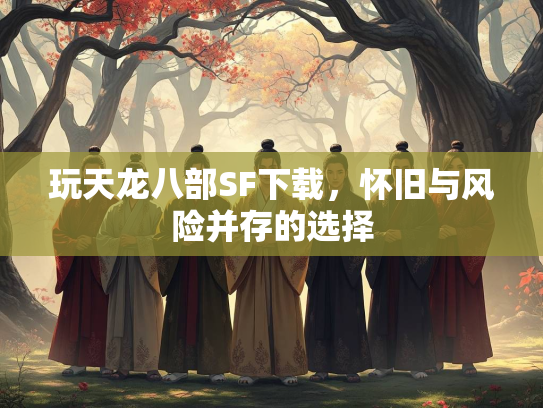 玩天龙八部SF下载，怀旧与风险并存的选择  第2张
