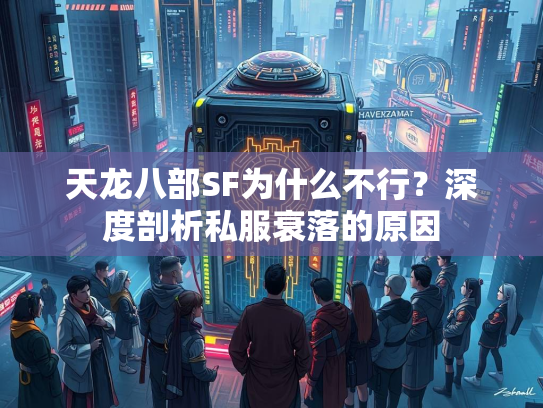 天龙八部SF为什么不行？深度剖析私服衰落的原因  第2张