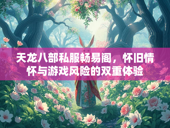 天龙八部私服畅易阁，怀旧情怀与游戏风险的双重体验  第2张
