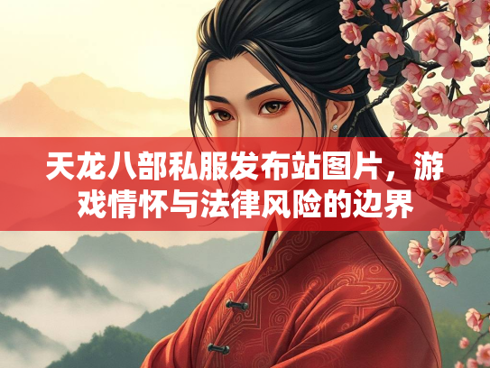 天龙八部私服发布站图片，游戏情怀与法律风险的边界  第2张