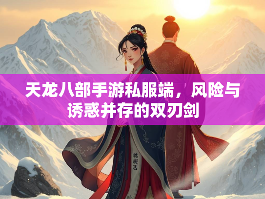 天龙八部手游私服端，风险与诱惑并存的双刃剑