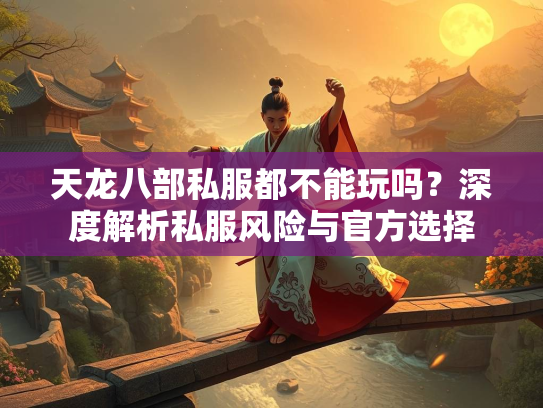 天龙八部私服都不能玩吗？深度解析私服风险与官方选择  第2张