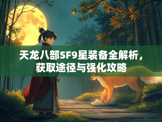 天龙八部SF9星装备全解析，获取途径与强化攻略  第2张