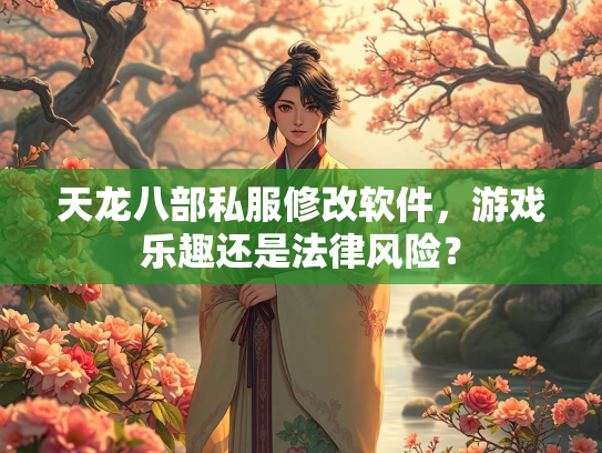 天龙八部私服修改软件，游戏乐趣还是法律风险？  第2张