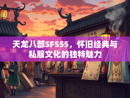 天龙八部SF555，怀旧经典与私服文化的独特魅力  第2张
