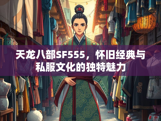天龙八部SF555，怀旧经典与私服文化的独特魅力  第3张
