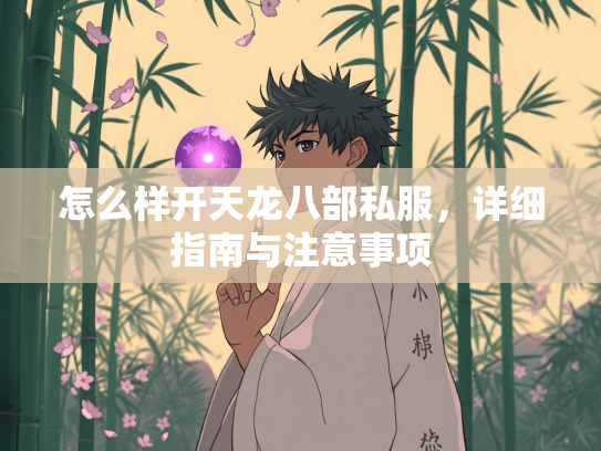 怎么样开天龙八部私服，详细指南与注意事项  第3张