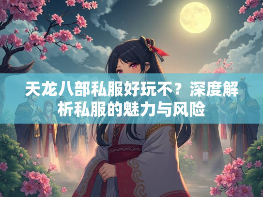 天龙八部私服好玩不？深度解析私服的魅力与风险  第3张
