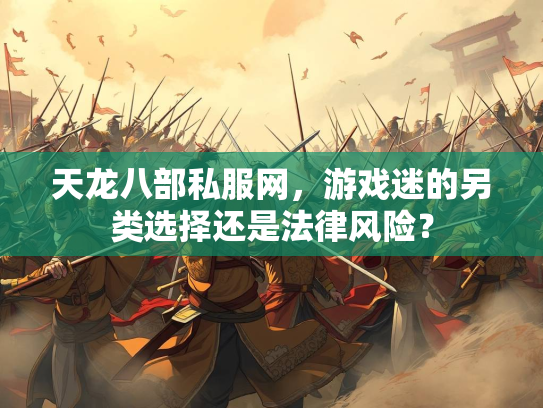天龙八部私服网，游戏迷的另类选择还是法律风险？  第2张