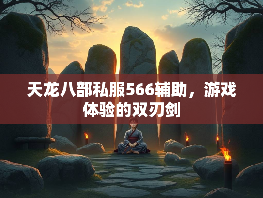 天龙八部私服566辅助，游戏体验的双刃剑