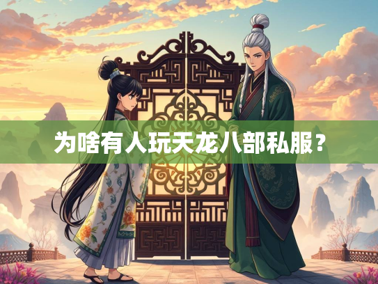 为啥有人玩天龙八部私服？  第3张