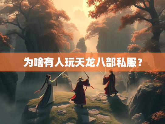 为啥有人玩天龙八部私服？  第1张
