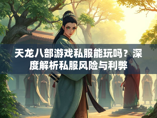天龙八部游戏私服能玩吗？深度解析私服风险与利弊