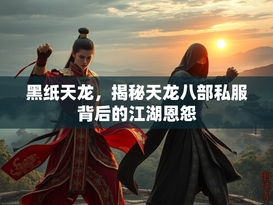 黑纸天龙，揭秘天龙八部私服背后的江湖恩怨