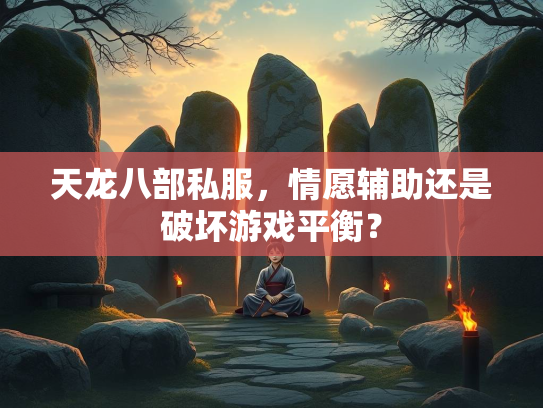天龙八部私服，情愿辅助还是破坏游戏平衡？  第2张