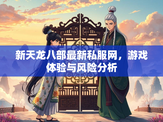 新天龙八部最新私服网，游戏体验与风险分析  第2张