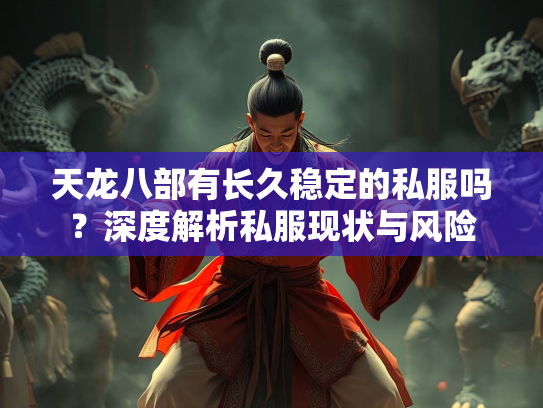 天龙八部有长久稳定的私服吗？深度解析私服现状与风险