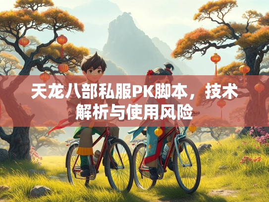 天龙八部私服PK脚本，技术解析与使用风险  第3张