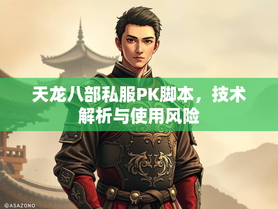 天龙八部私服PK脚本，技术解析与使用风险