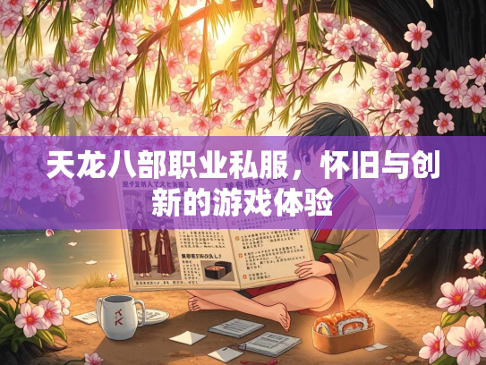 天龙八部职业私服，怀旧与创新的游戏体验