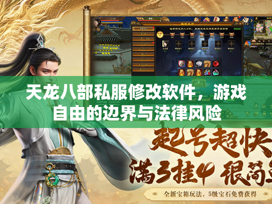天龙八部私服修改软件，游戏自由的边界与法律风险
