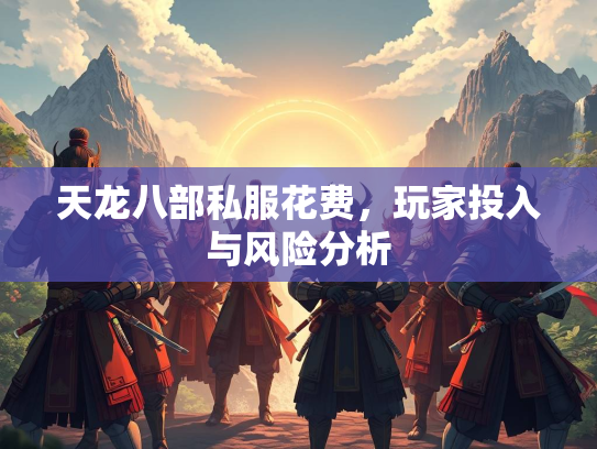 天龙八部私服花费，入风玩家投入与风险分析  第1张