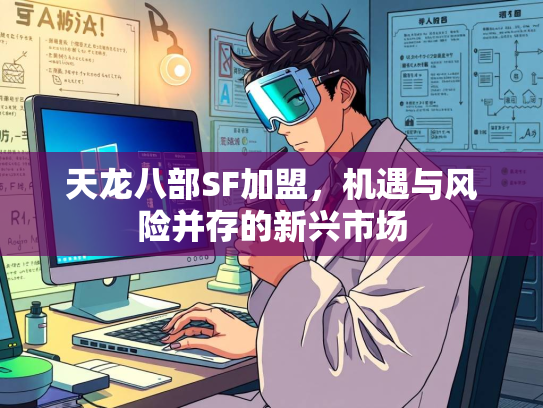 天龙八部SF加盟，机遇与风险并存的新兴市场  第4张
