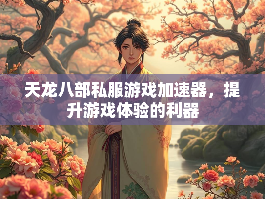 天龙八部私服游戏加速器，提升游戏体验的利器