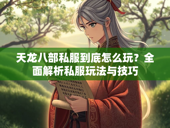 天龙八部私服到底怎么玩？全面解析私服玩法与技巧  第3张