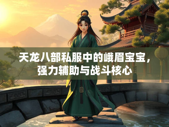 天龙八部私服中的峨眉宝宝，强力辅助与战斗核心  第4张