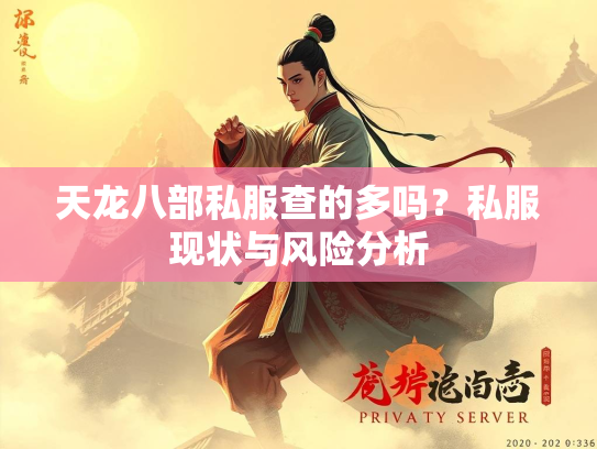天龙八部私服查的多吗？私服现状与风险分析  第4张
