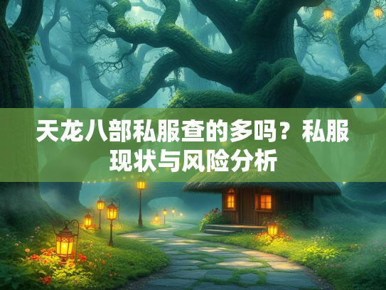 天龙八部私服查的多吗？私服现状与风险分析  第5张