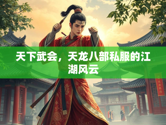 天下武会，天龙八部私服的江湖风云  第2张