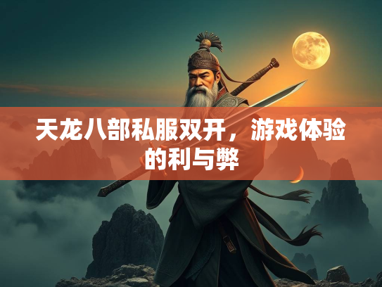 天龙八部私服双开，游戏体验的利与弊  第3张