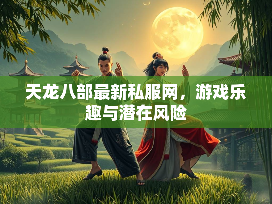 天龙八部最新私服网，游戏乐趣与潜在风险  第2张