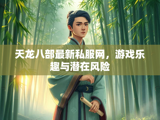 天龙八部最新私服网，游戏乐趣与潜在风险