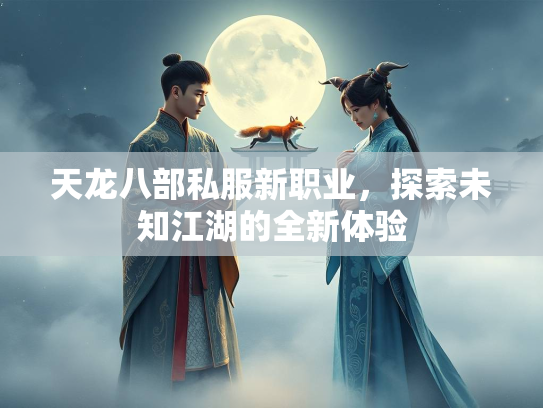 天龙八部私服新职业，探索未知江湖的全新体验  第3张