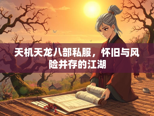 天机天龙八部私服，怀旧与风险并存的江湖  第3张