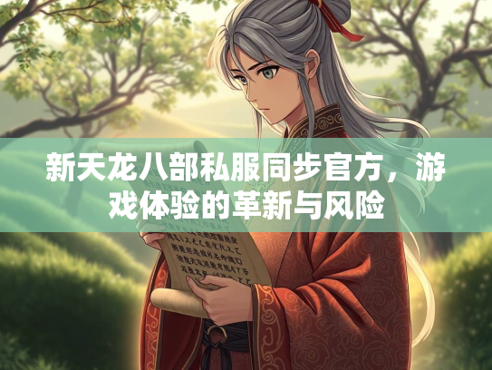 新天龙八部私服同步官方，游戏体验的革新与风险  第3张